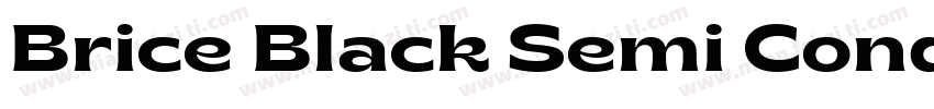 Brice Black Semi Conde字体转换
